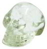 CSS_skull_07_w